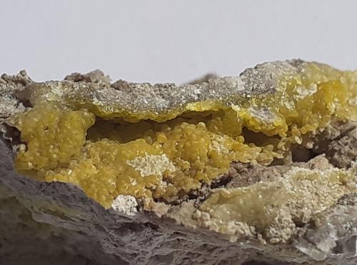 Smithsonite (variety cadmian smithsonite)<br />Mina Feigenstein, Monte Wannig, Nassereith, Distrito Imst, Tirol Norte, Tirol, Austria<br />3 x 1,5 cm<br /> (Author: Volkmar Stingl)