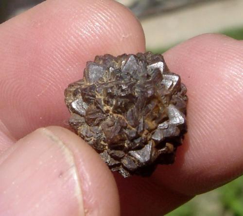 Goethite after Pyrite<br />Luanda, Formiga, Minas Gerais, Brazil<br />1,3 x 1,2 x 1,2 cm<br /> (Author: Anísio Cláudio)