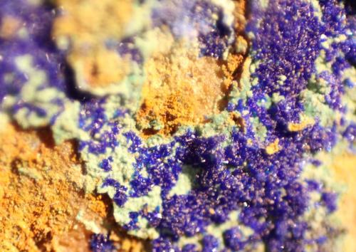 Azurite<br />Reformada Mine, El Pinar de Bédar, Bédar, Comarca Levante Almeriense, Almería, Andalusia, Spain<br />FOV 10 mm<br /> (Author: Firmo Espinar)