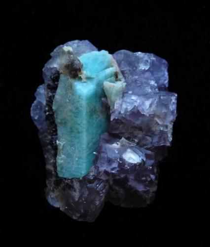 Fluorite and Amazonite
4cm
Teller county(mroe precise location,do you have it?)
Colorado
USA (Author: parfaitelumiere)