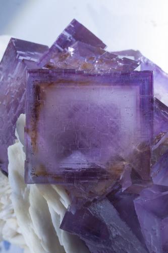 Fluorita<br />La Cabaña, Valdelmar, zona minera de Berbes, Berbes, Ribadesella, Comarca Oriente, Principado de Asturias (Asturias), España<br />Cristales hasta 35mm de arista<br /> (Autor: Raul Vancouver)