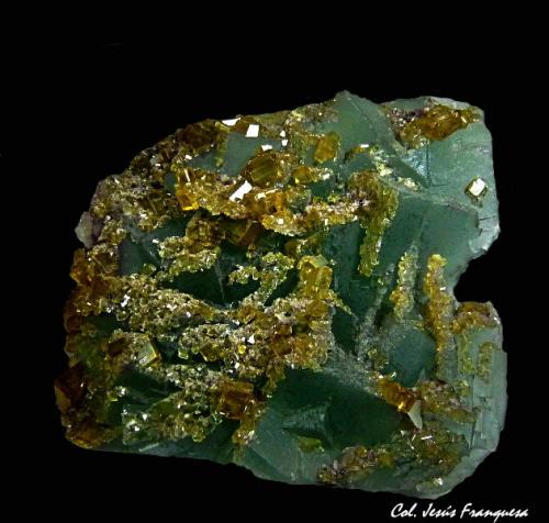 Fluorita.<br />Mina Xiefang, Ruijin, Prefectura Ganzhou, Provincia Jiangxi, China<br />80x70 mm<br /> (Autor: Jesus Franquesa Baucells)
