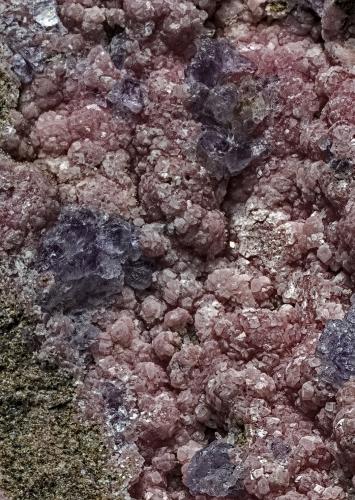 Rhodochrosite, Fluorite<br />Mina Durango, Grupo de concesiones Durango and Moorlight , Phillipsburg, Distrito Phillipsburg, Condado Granite, Montana, USA<br /><br /> (Author: am mizunaka)