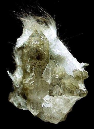 Quartz (v. smoky) with Actinolite (v. Byssolite)
Griesserental, Maderanertal, Uri Canton, Switzerland 
7.5 X 4.8 cm (Author: GneissWare)