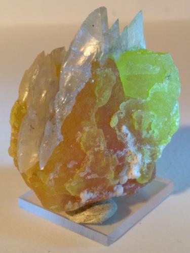 Sulphur, Gypsum<br />Racalmuto Mine, Racalmuto, Agrigento (Girgenti) Province, Sicily, Italy<br />50 x 45 mm<br /> (Author: Sante Celiberti)