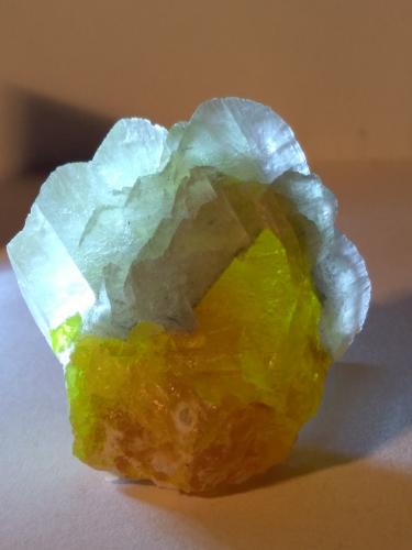 Sulphur, Gypsum<br />Racalmuto Mine, Racalmuto, Agrigento (Girgenti) Province, Sicily, Italy<br />50 x 45 mm<br /> (Author: Sante Celiberti)