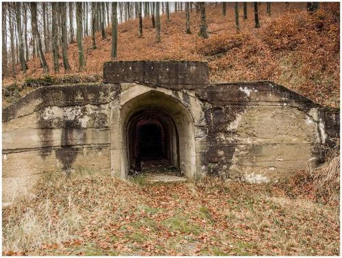 _<br />Turt Mine, Turt, Negresti-Oas, Oas Mountains, Satu Mare, Romania<br /><br /> (Author: silvia)