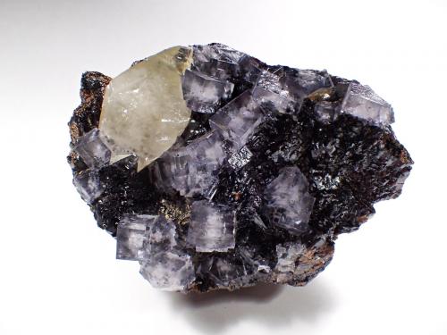 Fluorite, Calcite, Sphalerite<br />Elmwood Mine, Carthage, Central Tennessee Ba-F-Pb-Zn District, Smith County, Tennessee, USA<br />150 mm x 109 mm<br /> (Author: Don Lum)