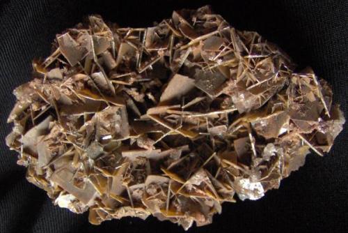 Wulfenite
Unknown Locality
8 cm x 6 cm (Author: Linda Smith)