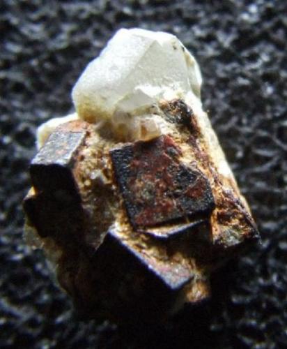 Phenakite on Pyrite, Mt Antero Colorado,    11 x 5mm (Author: nurbo)