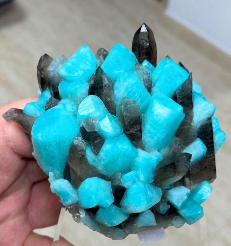 Microcline, Quartz<br />Pikes Peak, El Paso County, Colorado, USA<br />85 mm x 76 mm. Main microcline crystal: 22 mm. Main quartz crystal: 23 mm. Mass: 256 g<br /> (Author: Carles Millan)