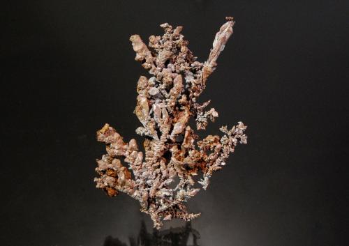 Copper<br />Ray Mines, Scott Mountain area, Mineral Creek District, Dripping Spring Mountains, Pinal County, Arizona, USA<br />6.6 x 4.4 cm<br /> (Author: Michael Shaw)