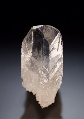 Whewellite<br />Pozo 371, nivel 1170, Distrito Schlema-Hartenstein, Erzgebirgskreis, Sajonia/Sachsen, Alemania<br />2.5 x 2 x 5.5 cm / main crystal size: 5.5 cm<br /> (Author: MIM Museum)