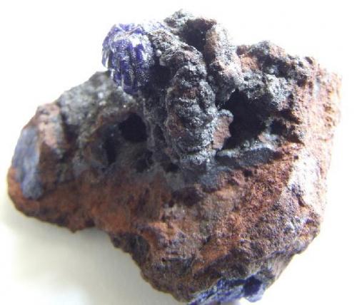 Azurite on matrix from Morenci mine Arizona, specimen 38 mm long, Azurite 5mm (Author: nurbo)
