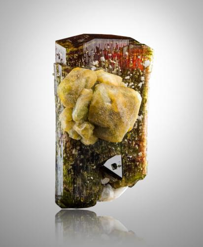 Londonite on Fluor-liddicoatite<br />Ambatomigaby pegmatite, Ampanivana, Andrembesoa, Betafo District, Vakinankaratra Region, Madagascar<br />7 x 5.5 x 8.5 cm / main crystal: 3.3 cm<br /> (Author: MIM Museum)
