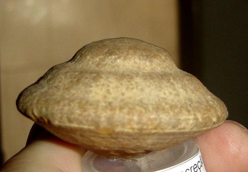Goethita<br />Corguinho, Mato Grosso, Brazil<br />4 X 4 X 3,3 cm<br /> (Autor: Anisio Claudio)