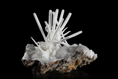 Aragonite (variety flos ferri)<br />Mina Sapin Vert, Pico Altenberg, Sainte-Marie-aux-Mines, Colmar-Ribeauvillé, Haut-Rhin, Grand Est, Francia<br />11 x 11 x 10 cm<br /> (Author: MIM Museum)