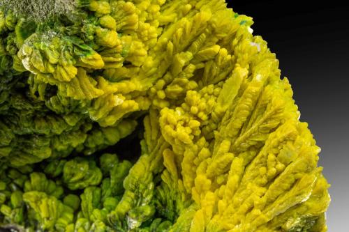 Autunite and Metaautunite<br />Mina Senhora da Assunção, Aldeia Nova, Ferreira de Aves, Sátão, Distrito Viseu, Portugal<br />17 x 11.5 x 8 cm<br /> (Author: MIM Museum)