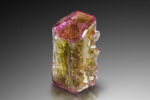Vesuvianite<br />Mina Jeffrey, Asbestos, Les Sources RCM, Estrie, Québec, Canadá<br />2.5 x 2.5 x 4.5 cm / main crystal: 4.5 cm<br /> (Author: MIM Museum)