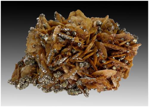 Siderite, Pyrite, Quartz<br />Mina Bou Nahas, zona minera Oumjrane, Comunidad Alnif, Provincia Tinghir, Región Drâa-Tafilalet, Marruecos<br />110 mm x 80 mm x 70 mm<br /> (Author: silvia)