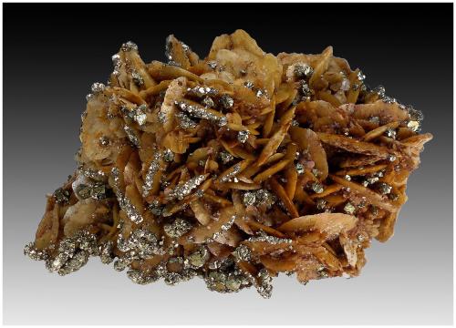 Siderite, Pyrite, Quartz<br />Bou Nahas Mine, Oumjrane mining area, Alnif Commune, Tinghir Province, Drâa-Tafilalet Region, Morocco<br />110 mm x 80 mm x 70 mm<br /> (Author: silvia)