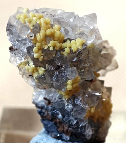 Mimetita<br />Santa Bárbara Mine, De Pichita Hill, La Perdiguera, Madridejos, Comarca La Mancha, Toledo, Castilla-La Mancha, Spain<br />10 X 15 mm.<br /> (Autor: Jesús López)