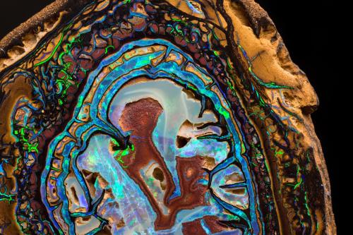 Opal (variety boulder opal)<br />Yowah opal field, Paroo Shire, Queensland, Australia<br />7.5 x 8 x 2 cm<br /> (Author: MIM Museum)