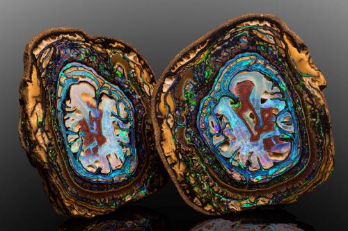 Opal (variety boulder opal)<br />Yowah opal field, Paroo Shire, Queensland, Australia<br />7.5 x 8 x 2 cm<br /> (Author: MIM Museum)