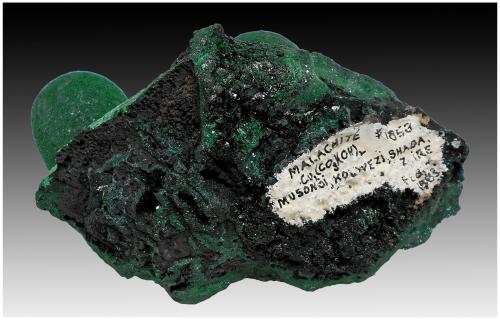 Malachite, Cuprite<br />Musonoi Mine, Kolwezi, Kolwezi District, Lualaba, Katanga Copper Crescent, Katanga (Shaba), Democratic Republic of the Congo (Zaire)<br />10 cm x 8 cm x 6 cm<br /> (Author: silvia)