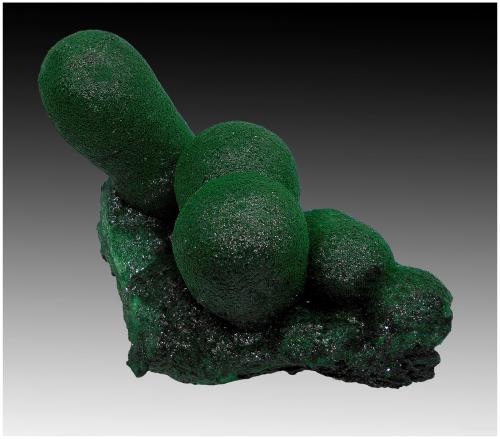 Malachite, Cuprite<br />Musonoi Mine, Kolwezi, Kolwezi District, Lualaba, Katanga Copper Crescent, Katanga (Shaba), Democratic Republic of the Congo (Zaire)<br />10 cm x 8 cm x 6 cm<br /> (Author: silvia)