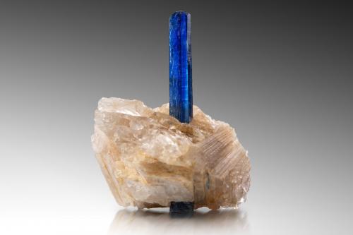 Cianita<br />Barra de Salinas, Coronel Murta, Vale do Jequitinhonha, Minas Gerais, Brasil<br />7.5 x 7.5 x 9 cm / cristal principal: 8.8 cm<br /> (Autor: Museo MIM)