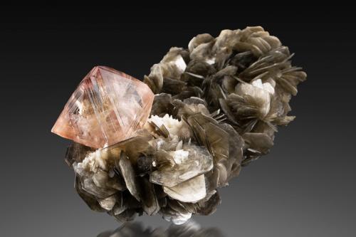 Fluorite<br />Chumar Bakhoor, Hunza Valley, Nagar District, Gilgit-Baltistan (Northern Areas), Pakistan<br />10 x 7 x 5.5 cm / main crystal: 3.5 cm<br /> (Author: MIM Museum)