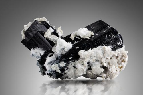 Tantalite-(Mn) on Schorl with Albite and Muscovite<br />Shengus (Shingus), Distrito Baltistán, Gilgit-Baltistan (Áreas del Norte), Paquistán<br />15 x 9 x 17 cm / main crystal: 5.6 cm<br /> (Author: MIM Museum)