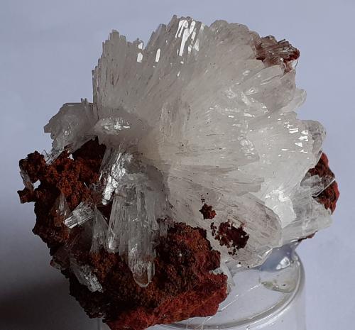 Hemimorphite<br />Ojuela Mine, Mapimí, Municipio Mapimí, Durango, Mexico<br />4,5 x 4,5 cm<br /> (Author: Volkmar Stingl)