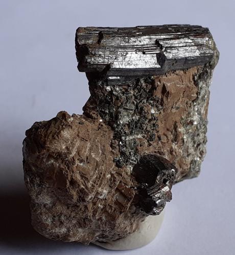 Rutile<br />Arsenic Mine, Unterer Rotgülden See, Rotgülden, Lungau, Salzburg, Austria<br />3,5 x 3 cm<br /> (Author: Volkmar Stingl)