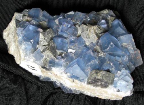 Fluorite<br />Blanchard Mine (Portales-Blanchard Mine), Bingham, Hansonburg District, Socorro County, New Mexico, USA<br /><br /> (Author: Linda Smith)