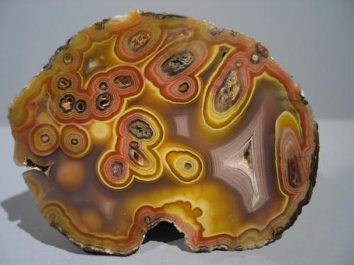 Agate (9 x 7 x 2 cm) from Rancho Coyamito (La Fortuna Claim), Sierra del Gallego, Mun. de Ahumada, Chihuahua, Mexico, purchased from Steve Wolfe’s collection (Author: Linda St-Cyr)