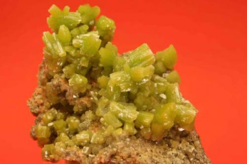 Pyromorphite
Mina San Andrés, Villaviciosa de Córdoba, Espiel, Córdoba, Spain
6 x 6 cm 
largest crystal 1 cm (Author: James Catmur)