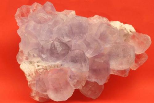 Fluorite
Mina Jaimina, Caravia, Asturias, Spain
18 x 14 cm (Author: James)