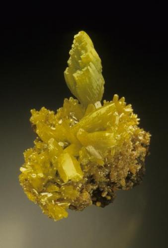 Pyromorphite, Bunker Hill Mine. 
Ex Minette collection. (Author: Gail)