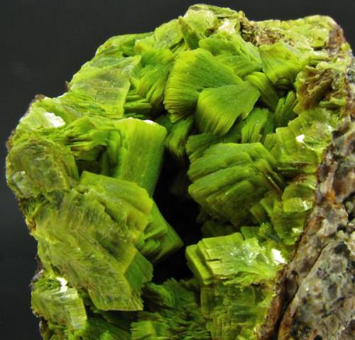 Uranocircite of intense neon green colour on granite matrix. Total size is 11 x 5 x 7 cm, FOV is approx. 5 cm. From the early 1990s when a big find was made with excellent samples. (Author: Montanpark)