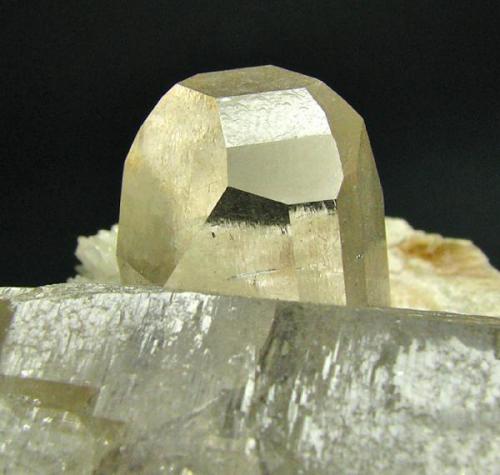 Topaz crystal on a pegmatite specimen with quartz and mica, total height of the topaz crystal is approx. 3 cm.
Dusso, Shigar Valley, Pakistan. (Author: Montanpark)