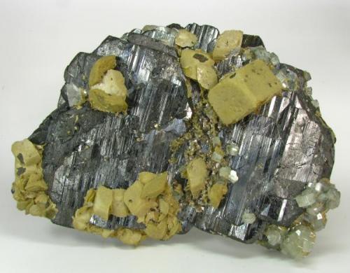 Wolframite, Siderite, Apatite, Quartz, Pyrite/Marcasite, 16 x 13 x 6 cm, Panasqueira, Portugal. (Author: Montanpark)