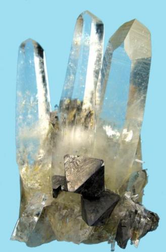 Scheelite, quartz
Tamboras mine, Mundo Nuevo, Huamachuco, La Libertad, Peru
80 mm x 49 mm (Author: Carles Millan)
