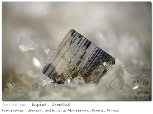 Brookite on Quartz<br />Jarrier, Saint-Jean-de-Maurienne, Savoie, Auvergne-Rhône-Alpes, France<br />fov 9.3 mm<br /> (Author: ploum)