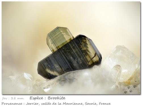 Brookite on Quartz<br />Jarrier, Saint-Jean-de-Maurienne, Savoie, Auvergne-Rhône-Alpes, France<br />fov 3.8 mm<br /> (Author: ploum)