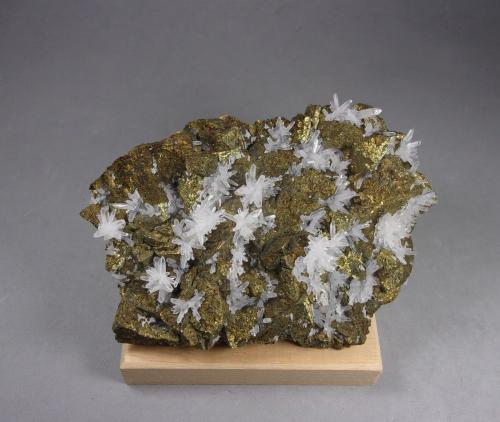 Calcopirita<br />Mina Cavnic, zona minera Cavnic, Cavnic, Maramures, Rumanía<br />11,4 x 8 x 2,5 cm.<br /> (Autor: J. G. Alcolea)