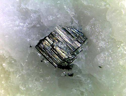 Arsenopirita<br />Concesión La Parrilla, Santa Amalia, Don Benito-Almoharín, Comarca Vegas Altas, Cáceres, Extremadura, España<br />Cristal de 4 mm.<br /> (Autor: Antonio P. López)