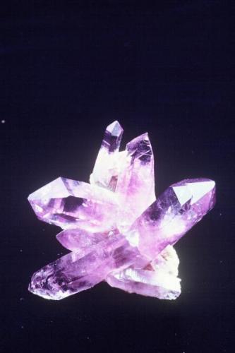 Quartz, var. Amethyst  Las Vigas Veracruz, Mexico miniature specimen.  from the Joel Bartsch collection (Author: Singingstone48)