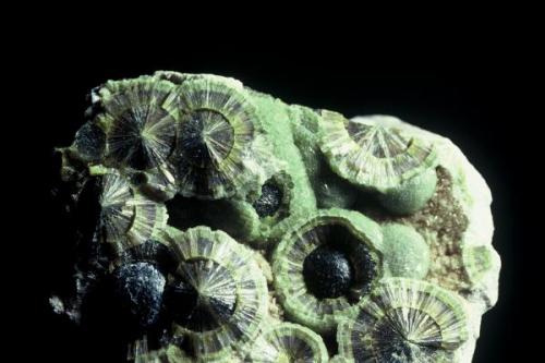 Wavellite Avant Montgomery Co., Arkansas USA.  self-collected. small cabinet specimen (Author: Singingstone48)